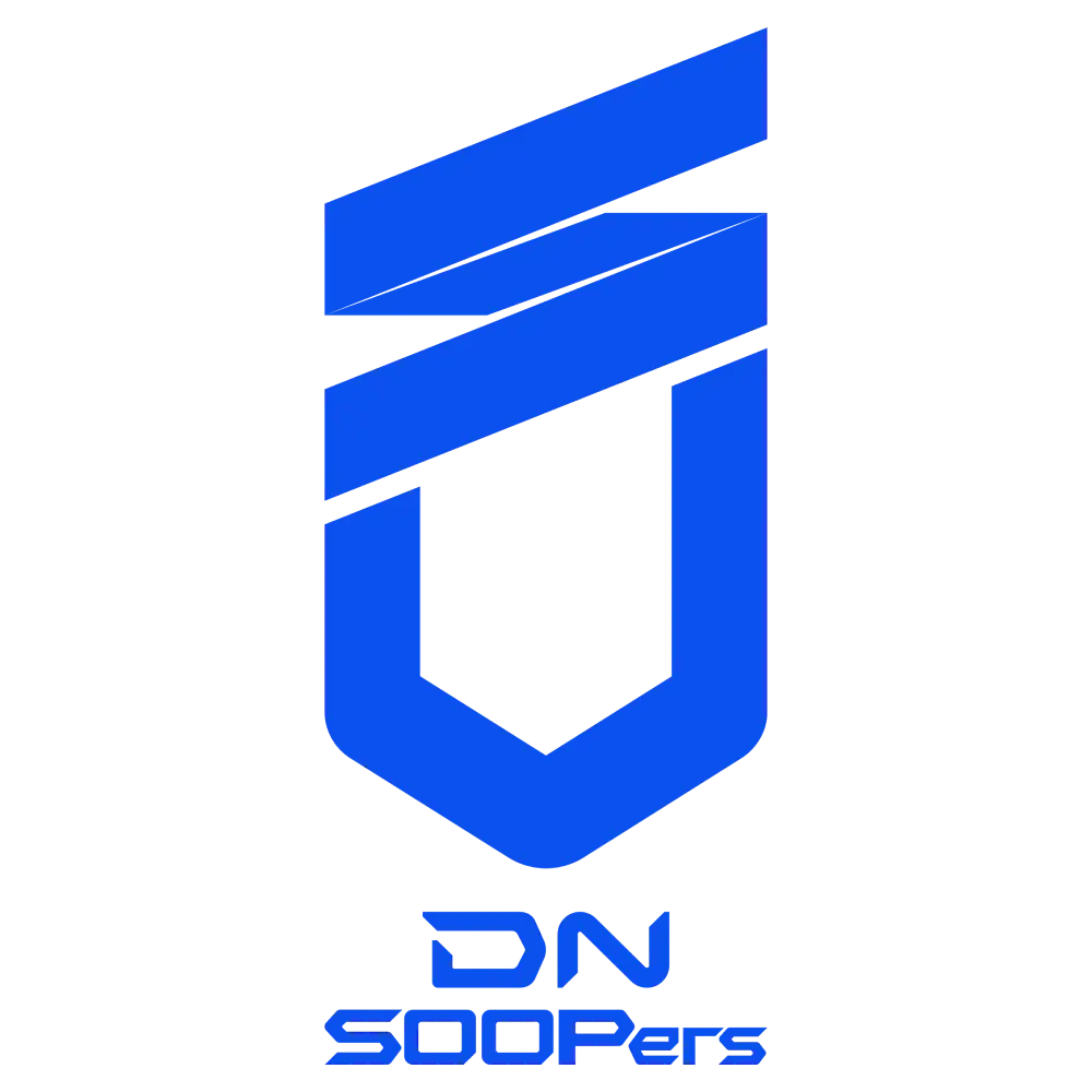 DNS 로고